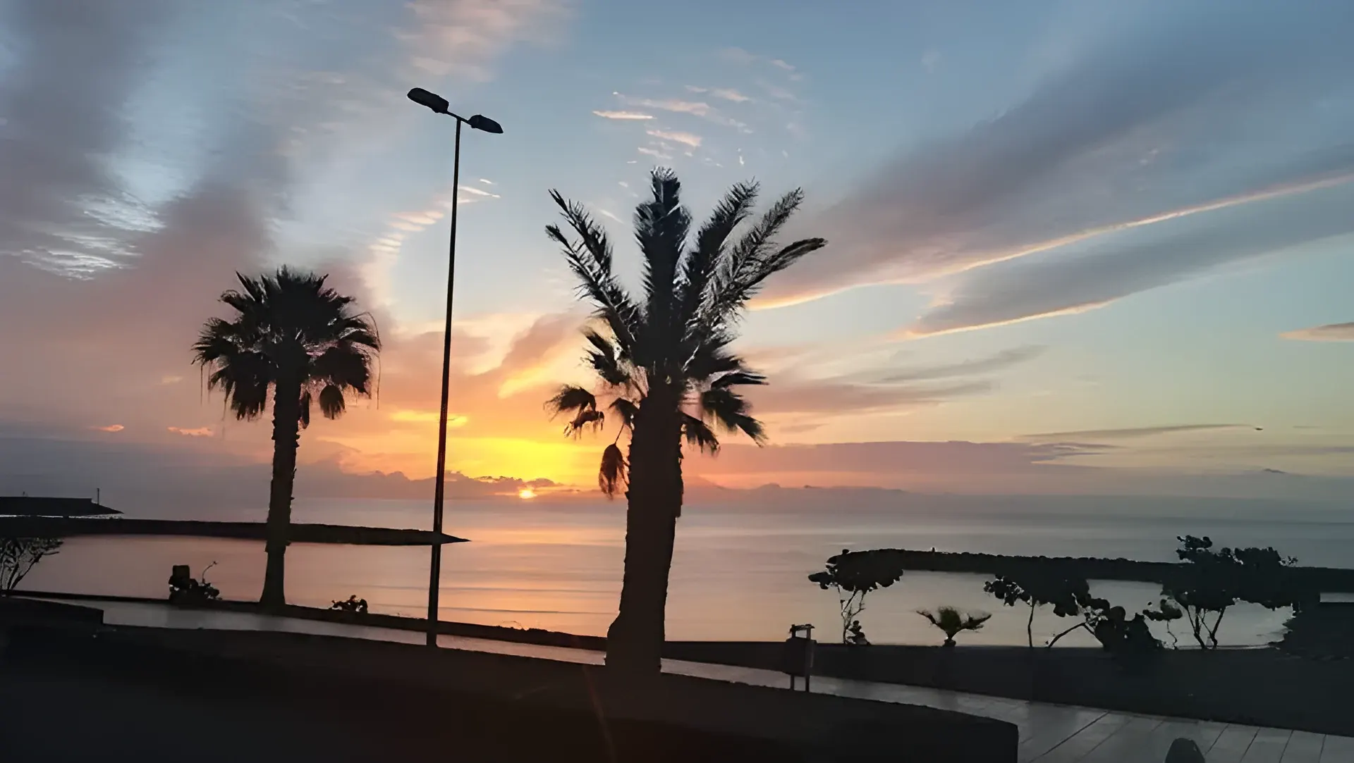 Atardecer entre palmeras en el paseo marítimo